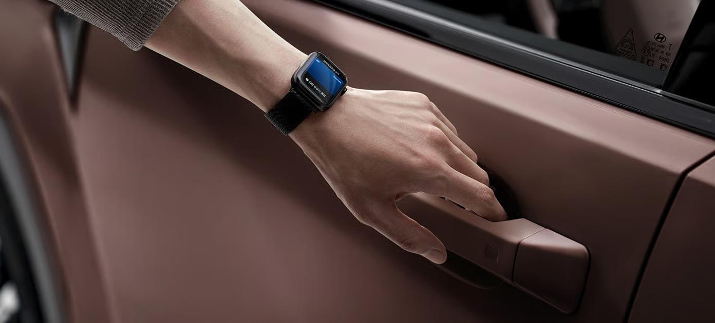 Hyundai Santa Fe Hybrid фото 26